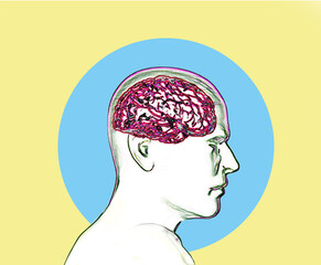 Illustration of brain inside human head against yellow background