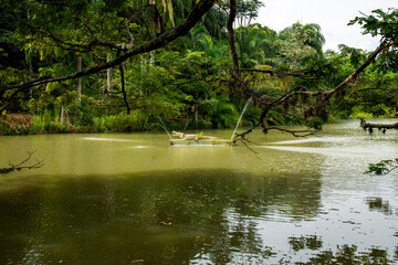 la babilla wetland, babilla park in cali colombia located in southern cali