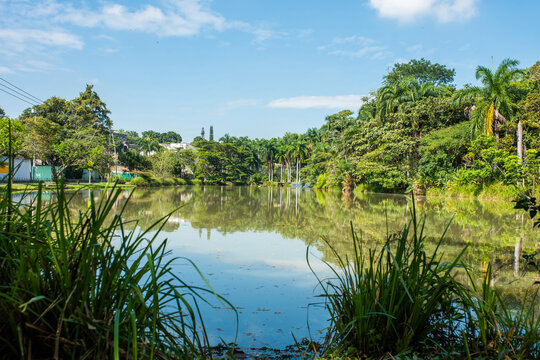 la babilla wetland, babilla park in cali colombia located in southern cali