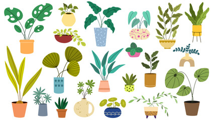 Potted plants set. Interior houseplants in planters, baskets, flowerpots. Home indoor green decor. Different succulents, cacti, foliage. Flat graphic vector illustrations isolated on white background