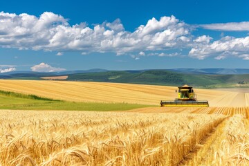 Fototapeta premium Combine harvester working on a wheat field - aerial view. Season of gathering crops. Drone flying over the field.. Beautiful simple AI generated image in 4K, unique.