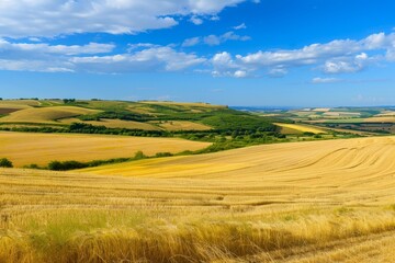 Obraz premium Combine harvester working on a wheat field - aerial view. Season of gathering crops. Drone flying over the field.. Beautiful simple AI generated image in 4K, unique.