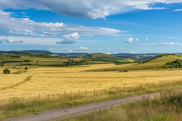 Obraz premium beautiful symmetrical patterns and a golden glow in a field of post-harvest sprayed wheat stubble, Wiltshire UK. Beautiful simple AI generated image in 4K, unique.