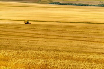Obraz premium A bird's-eye view of the Palouse, with rolling green hills and golden wheat fields stretching to the horizon. Beautiful simple AI generated image in 4K, unique.
