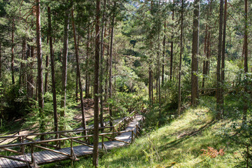Obraz premium Camino del nacimiento del Río Cuervo