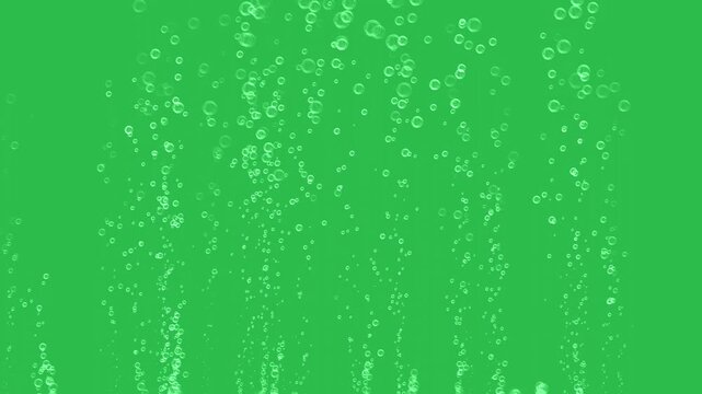 Raising bubbles on green screen background motion graphic effect. 