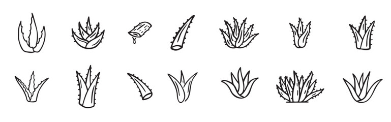hand drawn doodle aloe vera outline icon set vector illustration