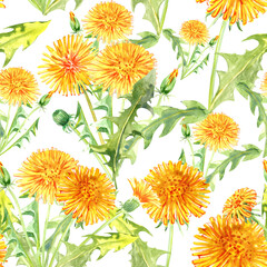 Dandelions watercolor seamless pattern. Yellow summer spring flowers.