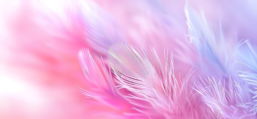 Fototapeta premium Abstract pastel pink, purple and blue feathers. Soft delicate background for design.