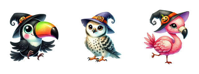 Obraz premium Cute birds wearing Halloween witch hats, isolated on transparent background