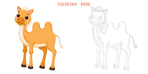 Coloring book of cute African wild camel in scandinavian style isolated on white background. Coloring page of pretty animal. Vector cartoon illustration.