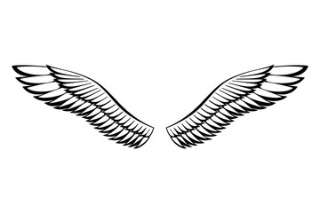 Obraz premium Wings sketch. Stylized birds wings. Hand drawn contoured stiker wing in open position. Vector design elements in coloring style