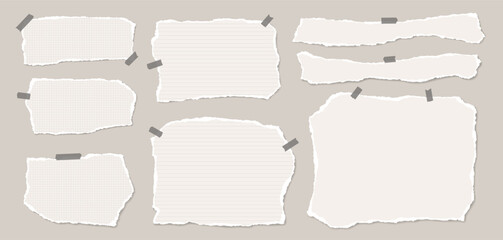 Set of torn white, lined, math paper pieces, strips are on light background for text, notes or ad.