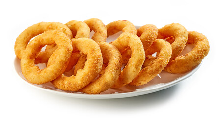 fried onion rings