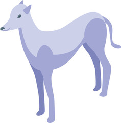 Greyhound dog standing in an isometric view