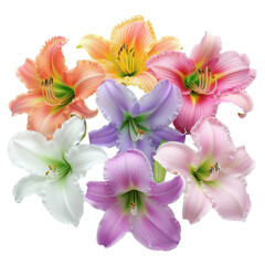 A bouquet of flowers with a variety of colors including white, pink, and orange