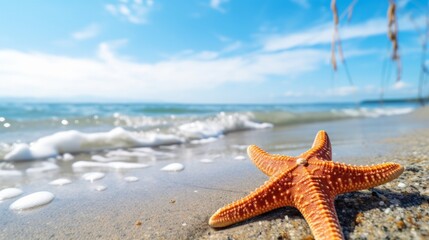Tropical beach with sea star in sand close up. Neural network ai generated art