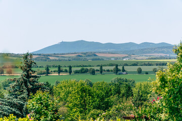 Fototapeta premium Botanical garden Arboretum Mlnyany in Nitra region, Slovakia