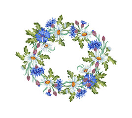 Blue cornflowers and daisies in a round frame wreath watercolor illustration. Wildflower botanical composition element isolated from background. Suitable for cosmetics, aromatherapy, medicine,