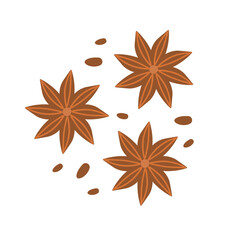 Dry aniseed or star anise. Composition of Chinese winter spice, badian with seeds. Doodle flat illustration. Hand drawn detailed vector illustration of illicium verum isolated on white background