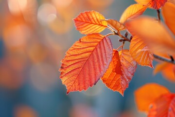 Obraz premium A detailed view of a single leaf on a tree branch, ideal for nature or botanical illustrations