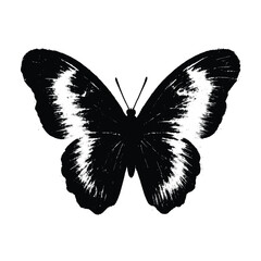 Black and White Butterfly Silhouette