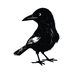 Black Bird Illustration with White Accents