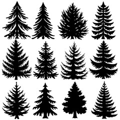 Obraz premium Artistic silhouette of pine trees on a white background