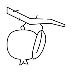 pomegranate branch leaf line icon vector. pomegranate branch leaf sign. isolated contour symbol black illustration