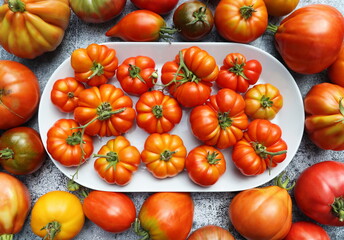 Fresh colorful ripe fall or summer heirloom variety tomatoes over table background. Harvest and cooking tomato sauce concept