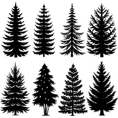 Obraz premium Striking silhouettes of pine trees on a white background
