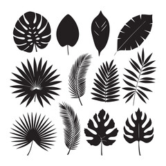 Intricate Leaf Silhouette Vector Illustration: Maple, Oak, Palm, Fern, Ginkgo, and Ivy Leaves