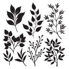 Plants silhouette vector images