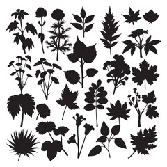 Plants silhouette vector images