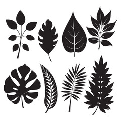 Intricate Leaf Silhouette Vector Illustration: Maple, Oak, Palm, Fern, Ginkgo, and Ivy Leaves