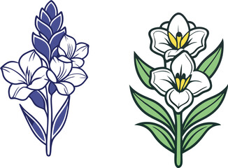 gladiolus flower silhouette vector line art icon