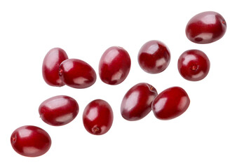 Dogwood berries flying close-up on white. Isolated