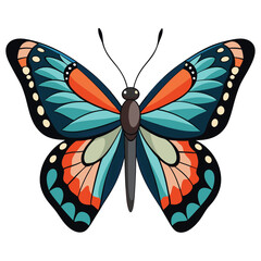 butterfly on white background