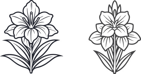 gladiolus flower silhouette vector line art icon