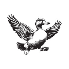 Obraz premium Duck Clipart, Duck Bird silhouette, Duck Wing Flap Leap and Land illustration in black and white
