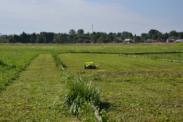 Auto autko samochód rc na torze w locie w powietrzu skok © VILKTERIO