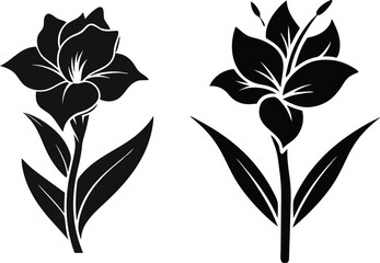 gladiolus flower silhouette vector line art icon