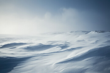A breathtaking view of a fierce blizzard with swirling snow and howling winds painting the winter landscape in frosty beauty.