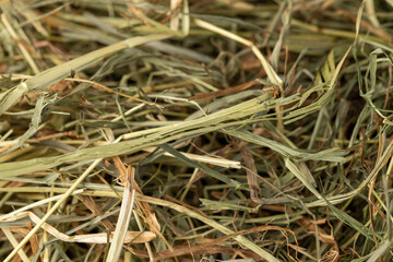 Dehydrated Dried Grass for hay production in agriculture