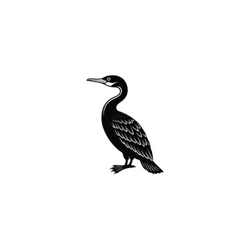 recommend clip art: cormorant bird silhouette vector