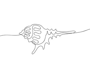 Sea shell in continuous line art drawing style. Hand drawn vector illustration. Minimalist black linear sketch isolated on white background.