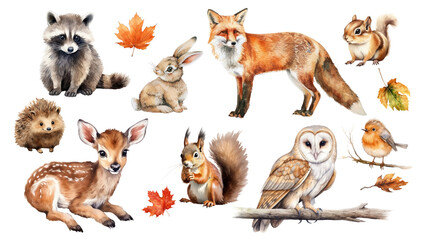 Obraz premium PNG watercolor animals in Autumn element set, transparent background