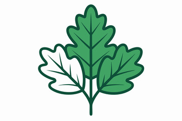 Vector Line Art of Oak Leaves on White Background Detailed Illustration and Clipart Design, Detailed vector line art of oak leaves on white background, perfect for nature themed de