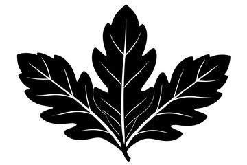 Vector Line Art of Oak Leaves on White Background Detailed Illustration and Clipart Design, Detailed vector line art of oak leaves on white background, perfect for nature themed de