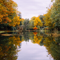 Reflection of a famous Rakotzbr&uuml;cke bridge (Devil's bridge) in water on a calm Autumn morning